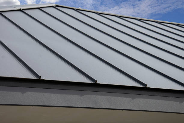 Best Solar Panel Roofing Installation  in Fairfield, TX